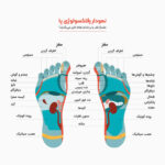 ماساژور پا تن زیب مدل رولی