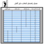 کفش روزمره مردانه مدل DBL.1161