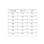 دامن زنانه مدل کرپ پیلی کره ای کد2568852