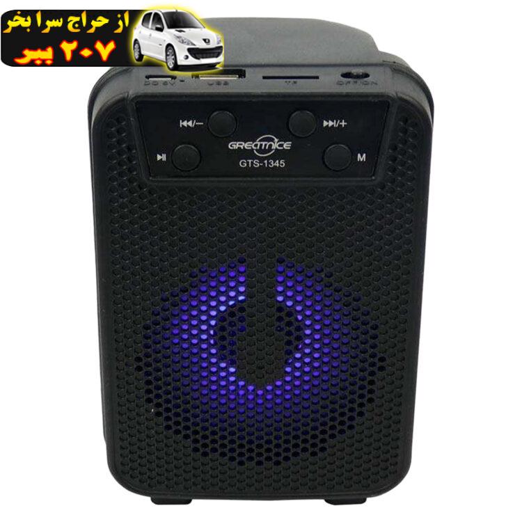 اسپیکر قابل حمل گریت نایس مدل GTS-1345