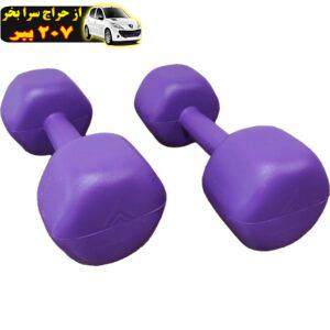 دمبل رادیس فیت مدل RPHF-3000 وزن 3 کیلوگرم بسته 2 عددی