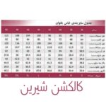 سرهمی زنانه مدل دکلته تابستانی رنگ مشکی