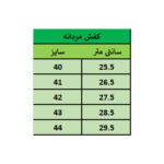 کفش زنانه مدل Aysan_40 کد pnt رنگ مشکی